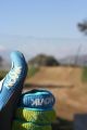 Novik Gloves