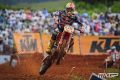antonio cairoli