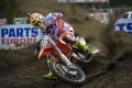 antonio cairoli